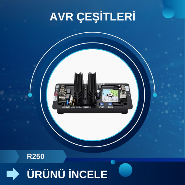 Leroy Somer R250 AVR